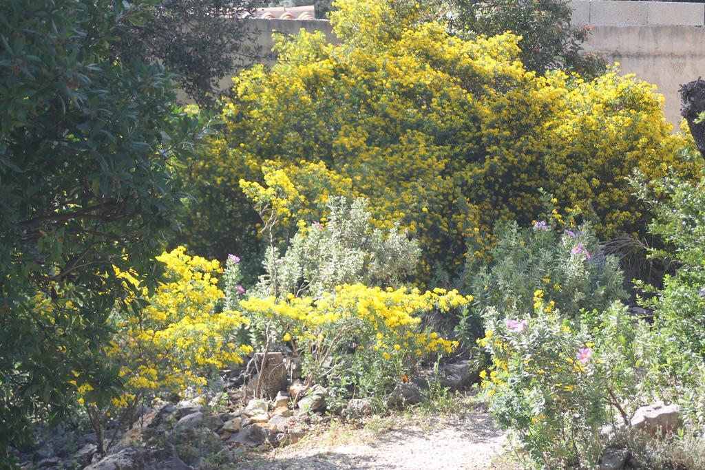 Villa A l'Est d'Uzès Saint-Siffret Esterno foto