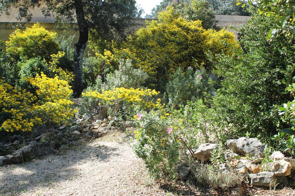 Villa A l'Est d'Uzès Saint-Siffret Esterno foto